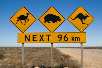 Yellow road signage concerning about wildlife animals on Australian roads.